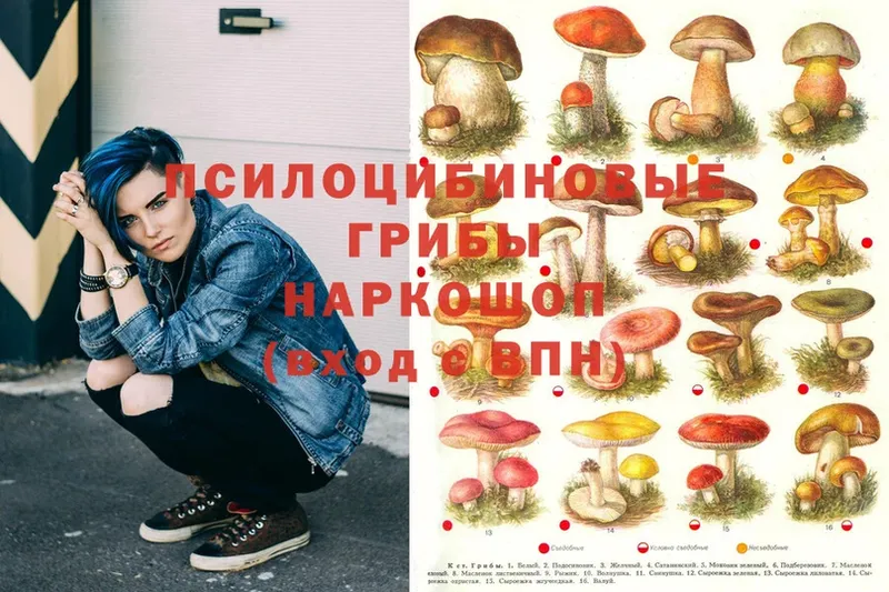 Псилоцибиновые грибы MAGIC MUSHROOMS  Киренск 